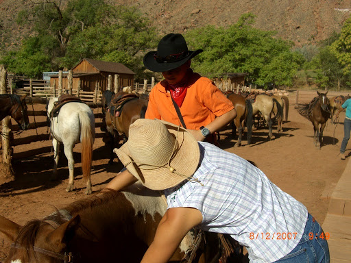 Winery «Moab Castle Creek Winery», reviews and photos, 14 UT-128, Moab, UT 84532, USA