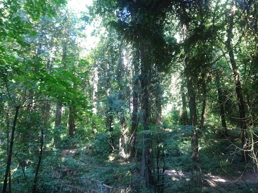 Park «Powell Butte Nature Park», reviews and photos, 16160 SE Powell Blvd, Portland, OR 97236, USA