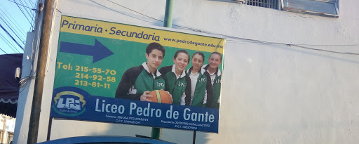 Liceo Pedro de Gante Primaria y Secundaria