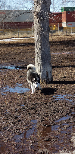 Dog Park «St. Anthony Parkway Off-Lease Dog Park», reviews and photos, 700 St Anthony Pkwy, Minneapolis, MN 55418, USA