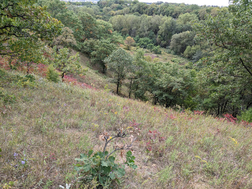 Nature Preserve «St. Croix Savanna Scientific and Natural Area (SNA)», reviews and photos, Osprey Blvd, Bayport, MN 55003, USA