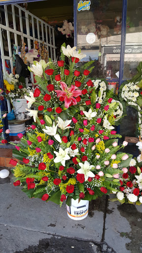 Tienda de flores secas Chimalhuacán