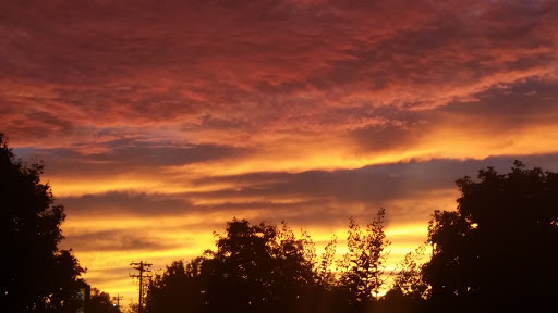 American Restaurant «Cracker Barrel Old Country Store», reviews and photos, 350 S Mt Juliet Rd, Mt Juliet, TN 37122, USA