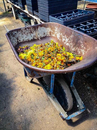 Florist «Sykes the Florist and Greenhouses», reviews and photos, 1300 Lawrence St, Lowell, MA 01852, USA