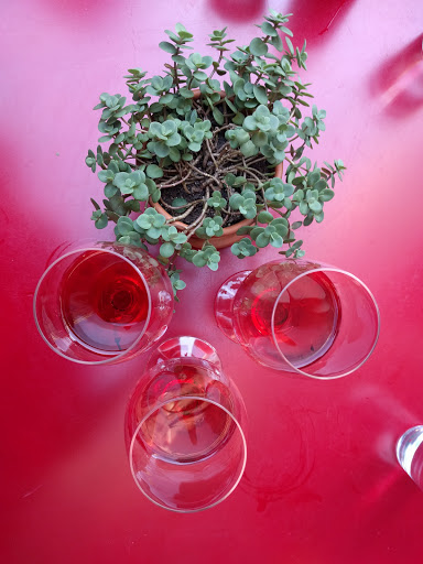 Wine Bar «The Tasting Room», reviews and photos, 1924 Post Alley, Seattle, WA 98101, USA