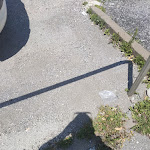 Photo n°5 de l'avis de agenzia.i fait le 20/07/2022 à 13:01 sur le  Snack al Check à Pieve di Cadore