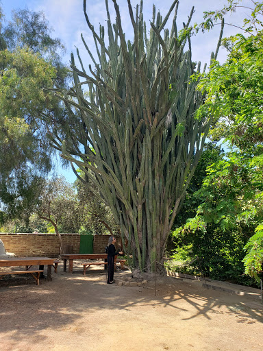 Historical Landmark «Rancho Los Cerritos, Historic Site», reviews and photos, 4600 Virginia Rd, Long Beach, CA 90807, USA