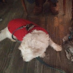 Photo n°1 de l'avis de Tamara.a fait le 05/02/2024 à 16:49 sur le  Romeo Sas à Lodi