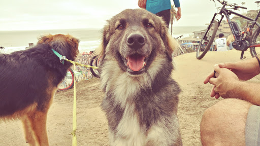 State Park «Moonlight State Beach», reviews and photos, 400 B St, Encinitas, CA 92024, USA