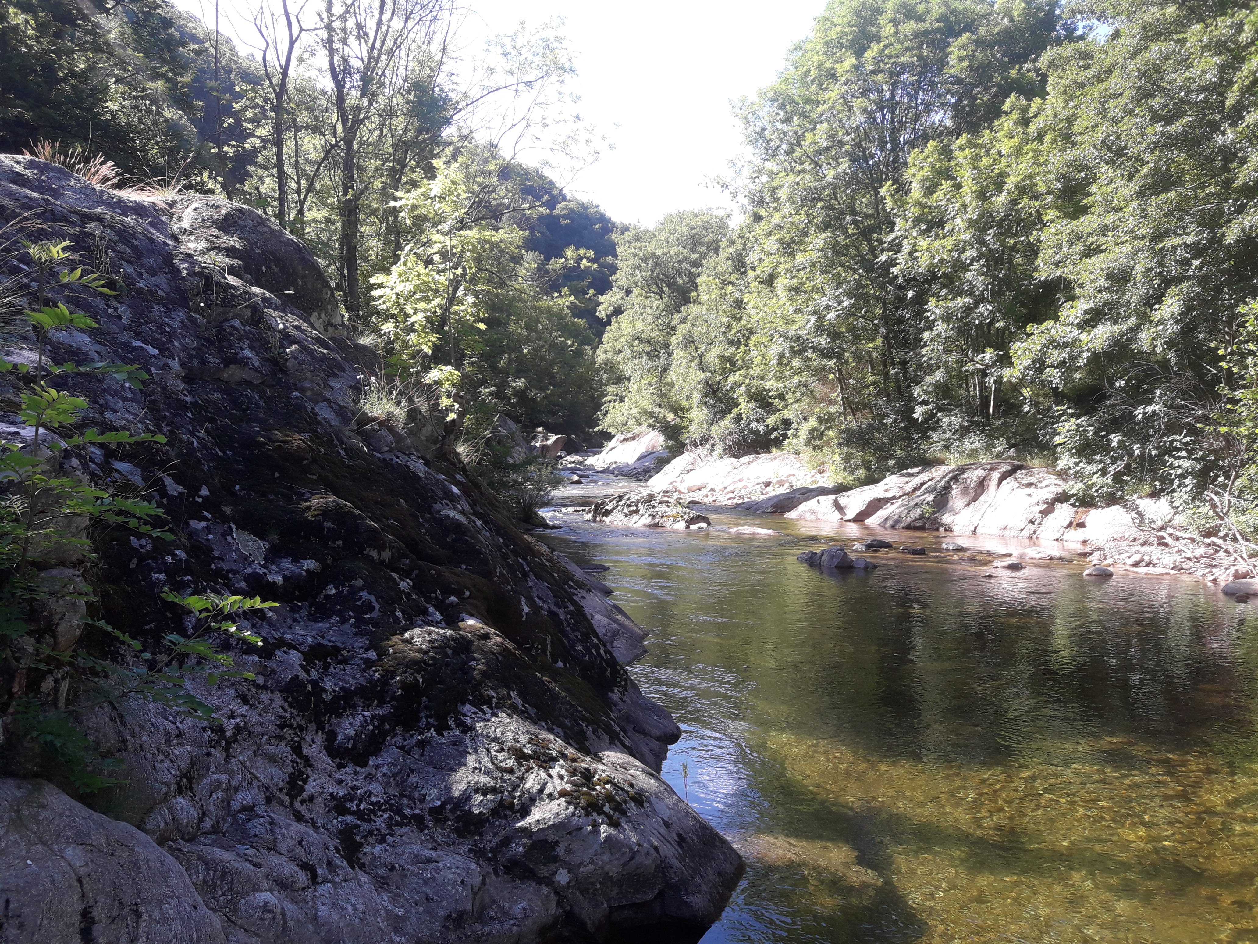 Photo n° 5 de l'avis de Stefe. fait le 27/06/2018 à 14:23