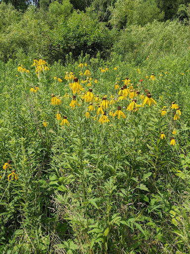 Nature Preserve «Rock Run Preserve - Paul V. Nichols Access», reviews and photos, Essington Rd, Joliet, IL 60435, USA