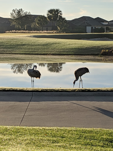 Golf Course «Esplanade Golf and Country Club at Lakewood Ranch», reviews and photos, 12825 Malachite Dr, Lakewood Ranch, FL 34211, USA