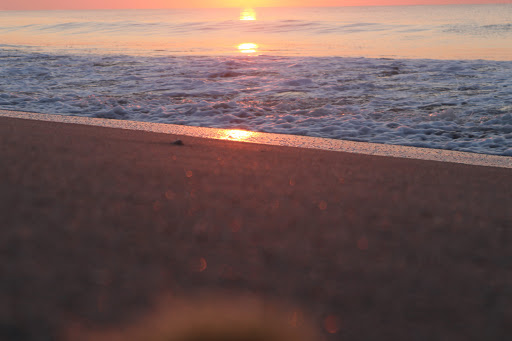 Tourist Attraction «Beach Access», reviews and photos, Alantic Ave, Pawleys Island, SC 29585, USA