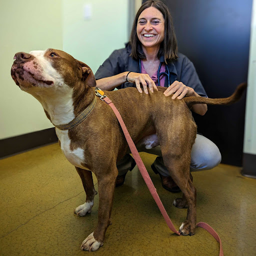 Rainier Veterinary Hospital image
