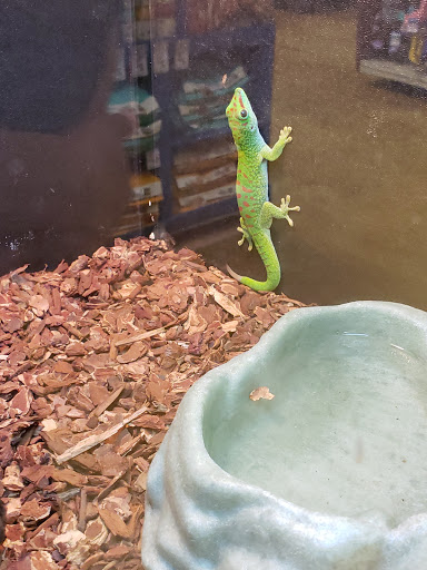 Pet Supply Store «PetSmart», reviews and photos, 976 IL-59, Aurora, IL 60504, USA