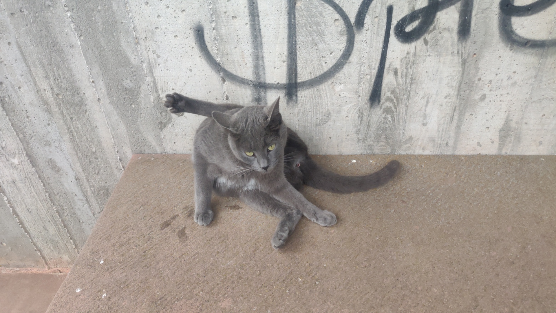 Photo n° 1 de l'avis de Hugo.o fait le 24/10/2020 à 10:06