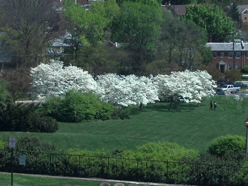 Museum «The George Washington Masonic National Memorial», reviews and photos, 101 Callahan Dr, Alexandria, VA 22301, USA