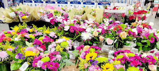 Warehouse store «Costco Wholesale», reviews and photos, 10088 Gulf Center Dr, Fort Myers, FL 33913, USA