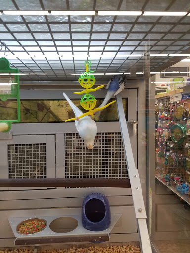 Pet Store «PetSmart», reviews and photos, 14903 4th Ave SW Ste 200, Burien, WA 98166, USA