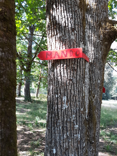 Golf Course «Riverside Disc Golf Course», reviews and photos, 7926 Riverside Rd E, Sumner, WA 98390, USA