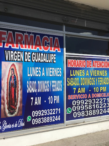 Farmacia Virgen Guadalupe