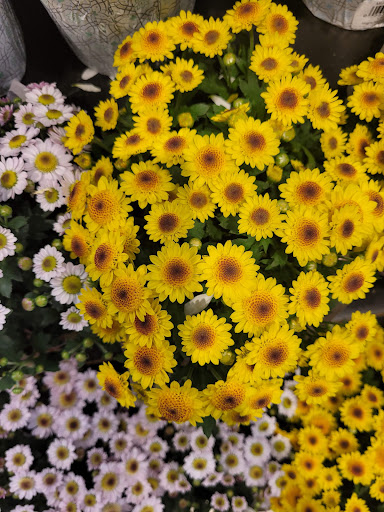 Supermarket «Stater Bros. Markets», reviews and photos, 1045 Bloomington Ave, Bloomington, CA 92316, USA