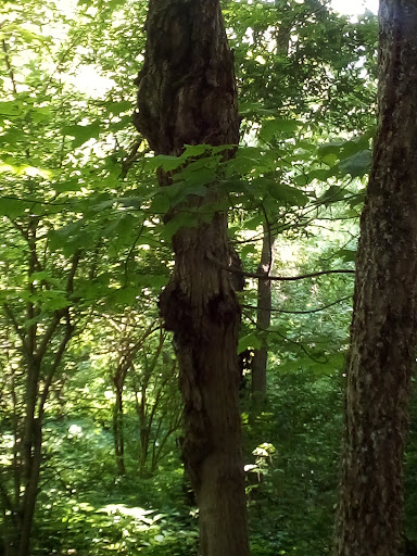 Art Museum «Richmond Art Museum», reviews and photos, 350 Hub Etchison Pkwy, Richmond, IN 47374, USA