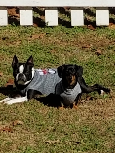 Dr. Gary White, DVM image