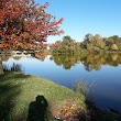 Delaware Park