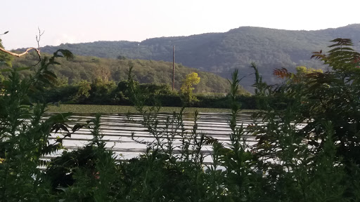 History Museum «West Point Foundry Preserve», reviews and photos, 80 Kemble Ave, Cold Spring, NY 10516, USA