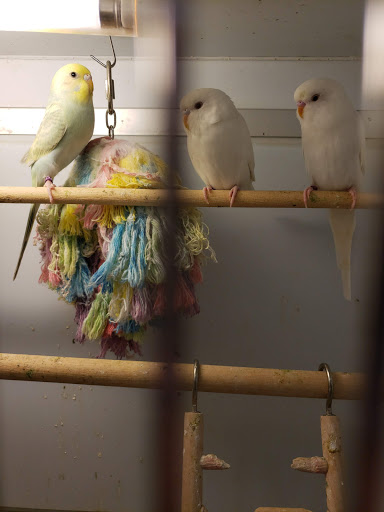 Pet Supply Store «Pet Supplies Plus», reviews and photos, 5708 State St, Saginaw, MI 48603, USA