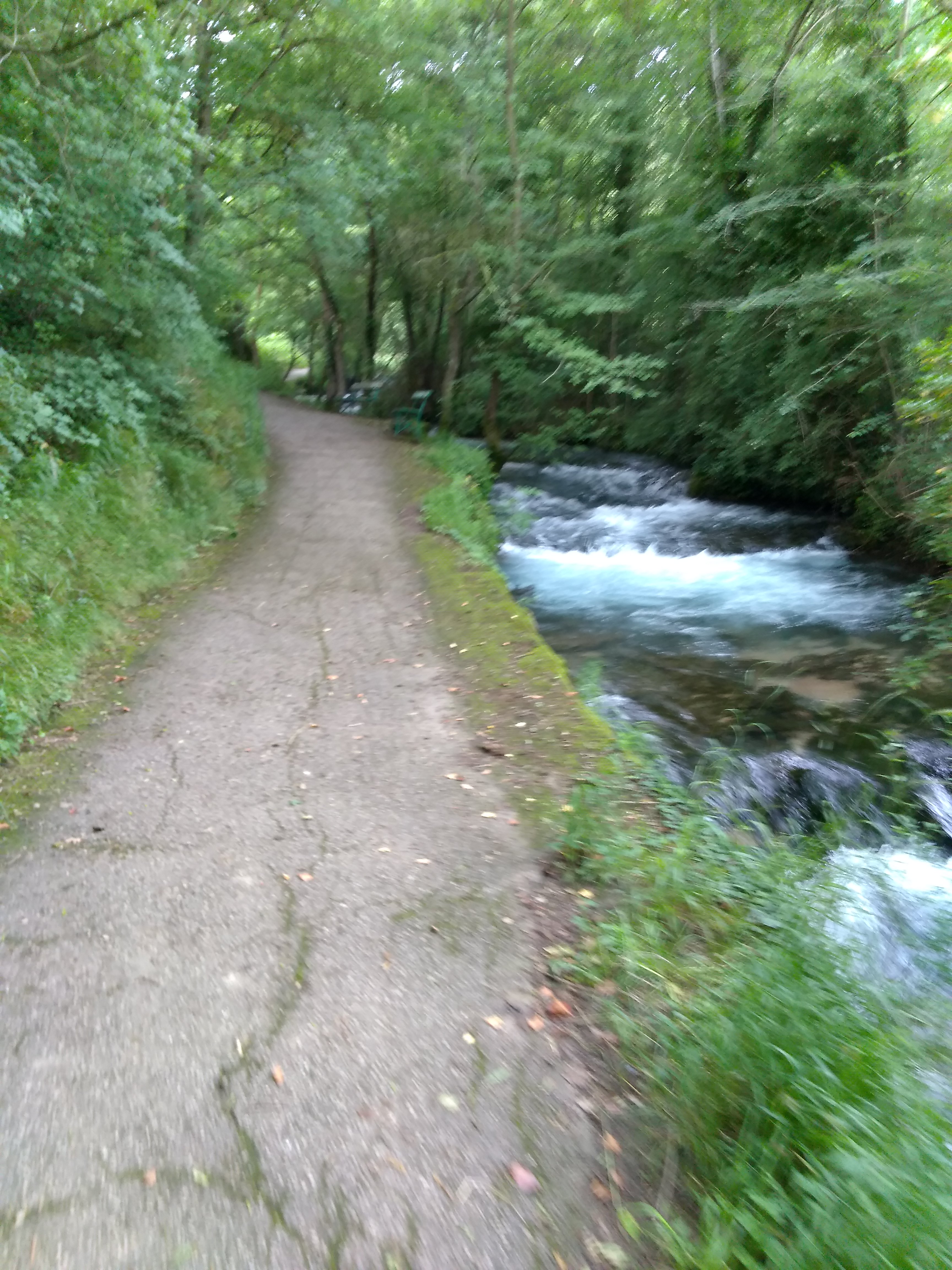 Photo n° 16 de l'avis de Thierry.v fait le 27/06/2018 à 10:34