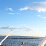 Photo n°2 de l'avis de The.e fait le 14/12/2021 à 06:15 sur le  Pepe Nero à Salerno