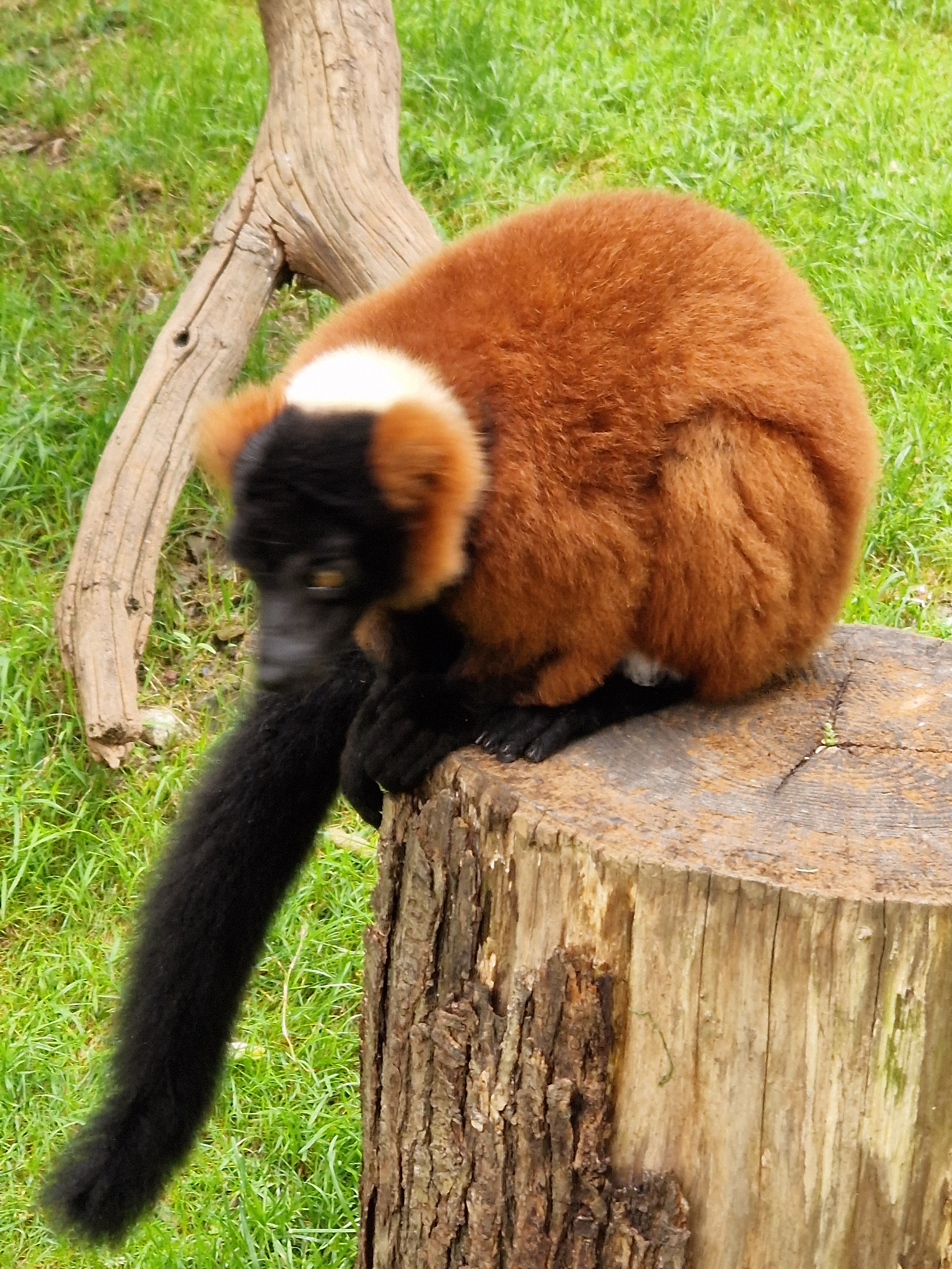Photo n° 2 de l'avis de Alexandre.a fait le 31/08/2023 à 05:45
