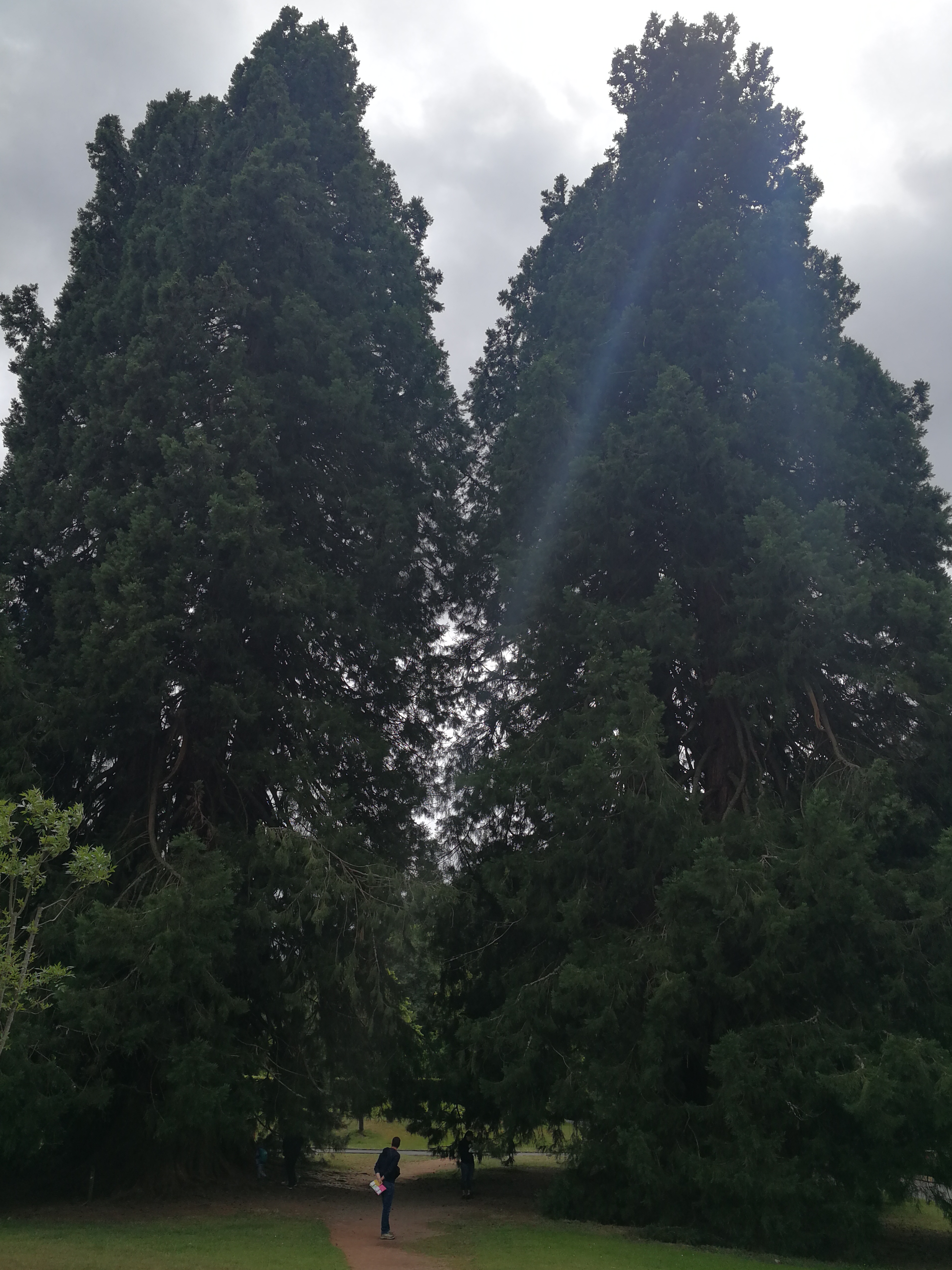 Photo n° 15 de l'avis de Carlito.H fait le 14/08/2019 à 18:48