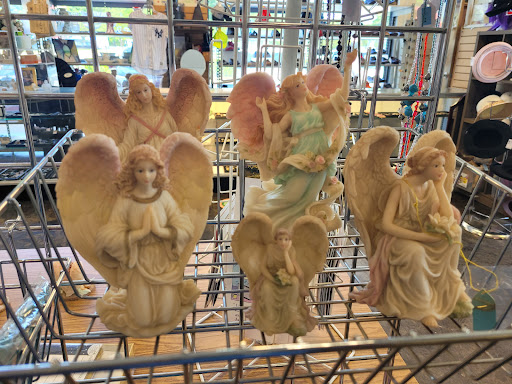 Thrift Store «Disabled American Veterans», reviews and photos