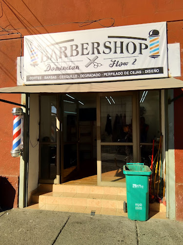 Opiniones de Dominican Flow Barbershop 2 en San Bernardo - Barbería