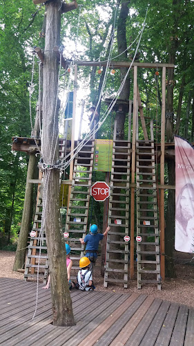 attractions Fun Forest GmbH the adventure park Kandel