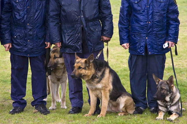 GSD Gesellschaft für Sicherheits-Dienstleistungen GmbH München - Sicherheitsdienst