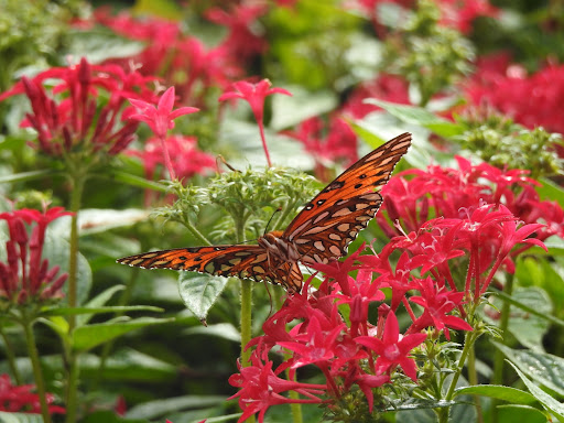 Park «Henry C. Chambers Waterfront Park», reviews and photos, Bay St, Beaufort, SC 29902, USA