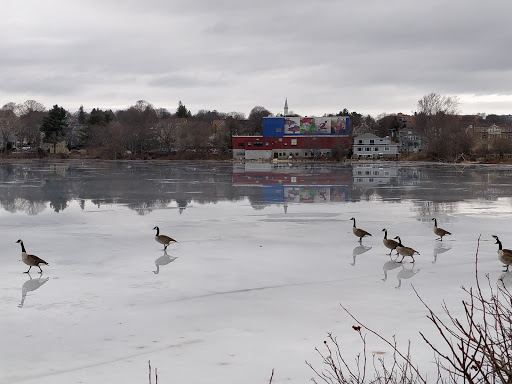 Park «Spy Pond Park», reviews and photos, Pond Lane, Arlington, MA 02474, USA