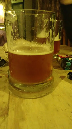 Opiniones de Cerveza Artesanal Nativus en Calbuco - Pub