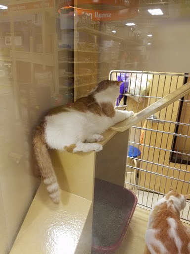 Pet Supply Store «PetSmart», reviews and photos, 315 W Rte 70, Marlton, NJ 08053, USA