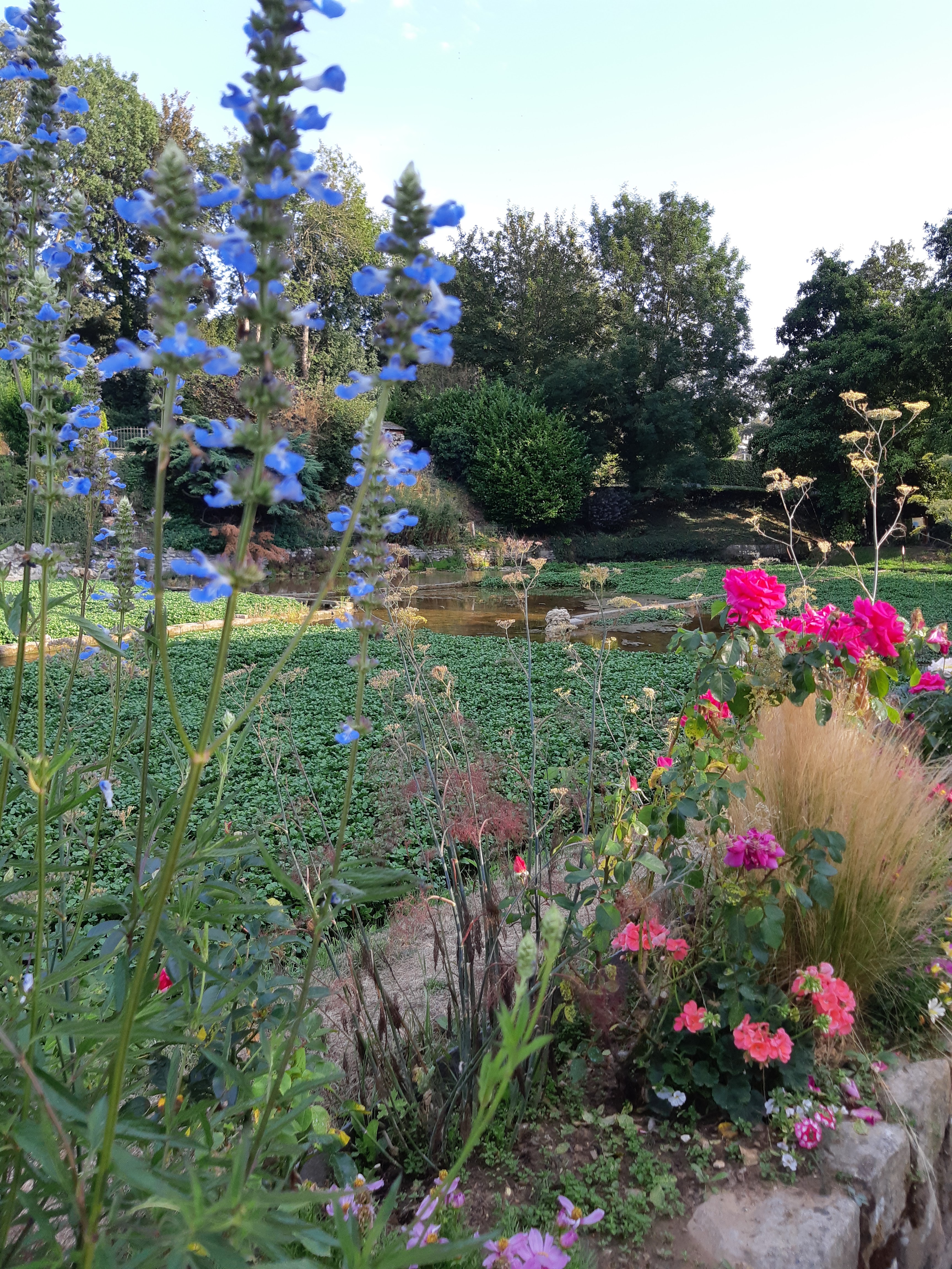 Photo n° 3 de l'avis de Sandrine.o fait le 10/08/2020 à 18:35
