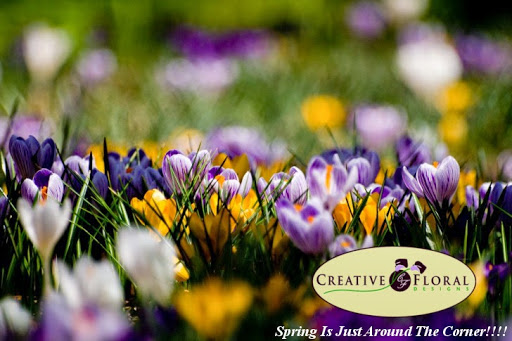 Florist «Creative Floral Designs», reviews and photos, 12158 Tech Rd, Silver Spring, MD 20904, USA