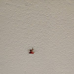 Photo n°1 de l'avis de enzo.e fait le 30/05/2023 à 05:36 sur le  Hotel NH Milano 2 Residence à Segrate