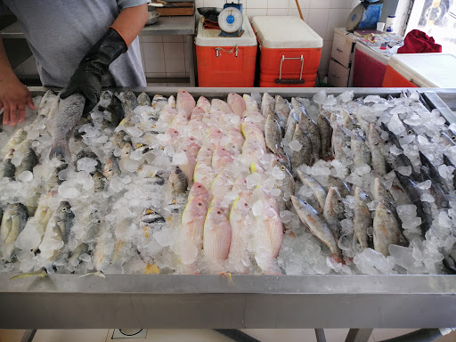 عروس البحر الأحمر للأسماك 