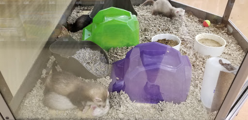 Pet Supply Store «Petco Animal Supplies», reviews and photos, 2450 Monarch Dr #105, Laredo, TX 78045, USA