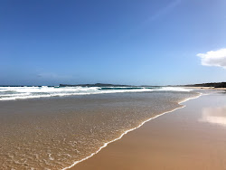 Grants Beach'in fotoğrafı vahşi alan