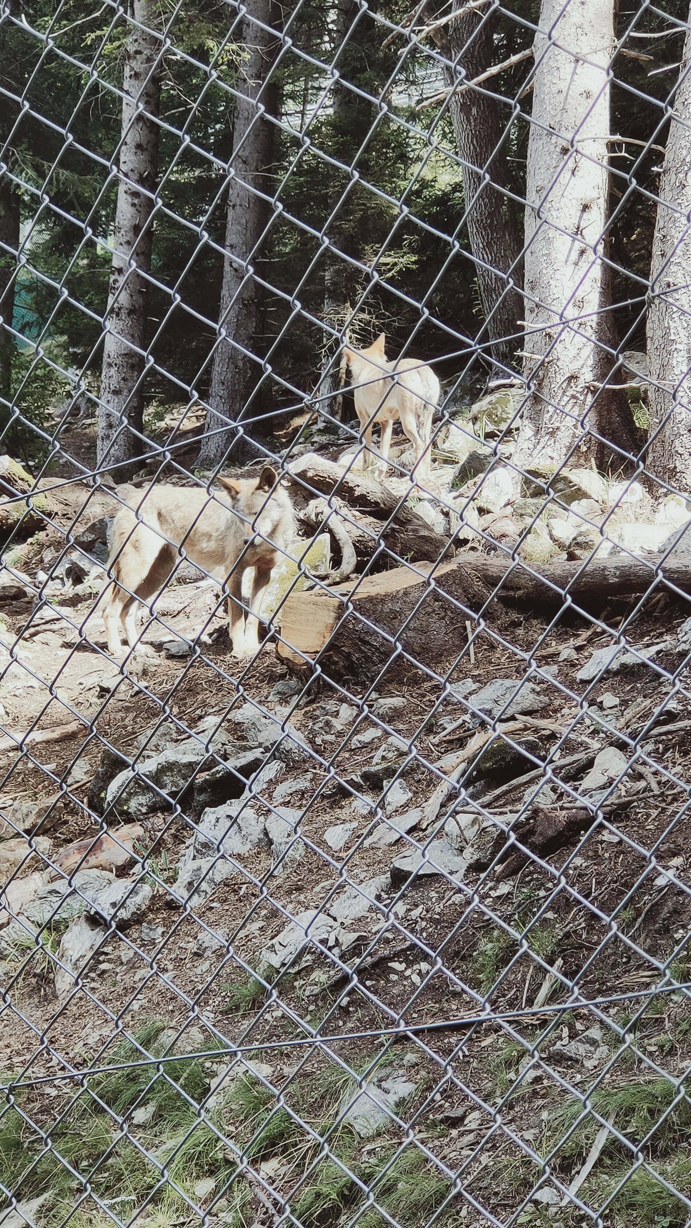 Photo n° 5 de l'avis de Christelle. fait le 05/08/2021 à 14:08